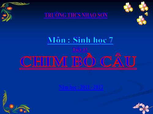 Bài 41. Chim bồ câu