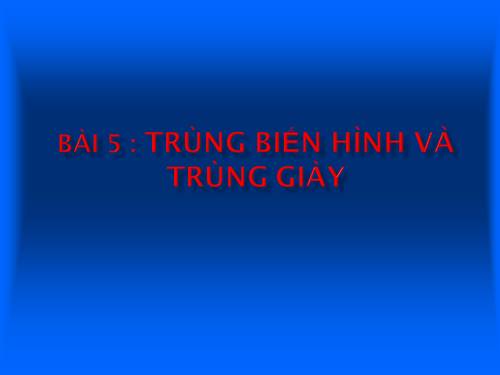 Bài 5. Trùng biến hình và trùng giày