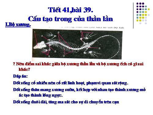 Bài 39. Cấu tạo trong của thằn lằn