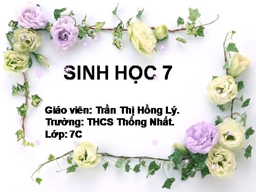 Bài 27. Đa dạng và đặc điểm chung của lớp Sâu bọ