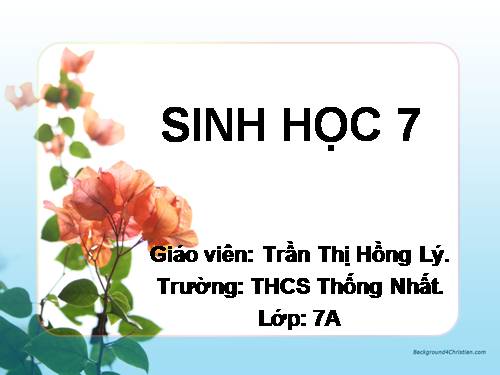 Bài 2. Phân biệt động vật với thực vật. Đặc điểm chung của động vật