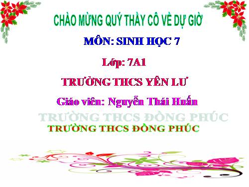 Bài 38. Thằn lằn bóng đuôi dài