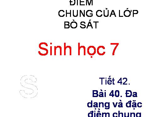 Bài 40. Đa dạng và đặc điểm chung của lớp Bò sát