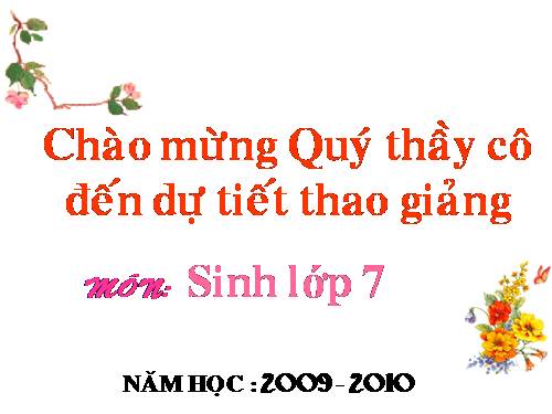 Bài 29. Đặc điểm chung và vai trò của ngành Chân khớp