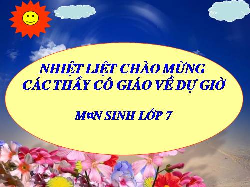 Bài 27. Đa dạng và đặc điểm chung của lớp Sâu bọ