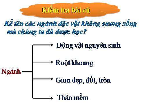 Bài 29. Đặc điểm chung và vai trò của ngành Chân khớp