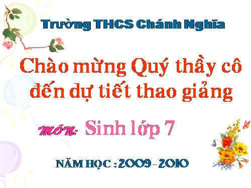 Bài 25. Nhện và sự đa dạng của lớp Hình nhện