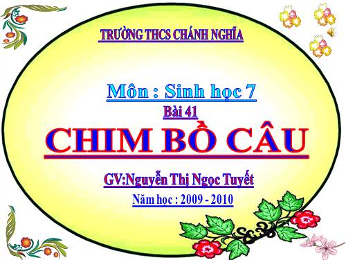 Bài 41. Chim bồ câu