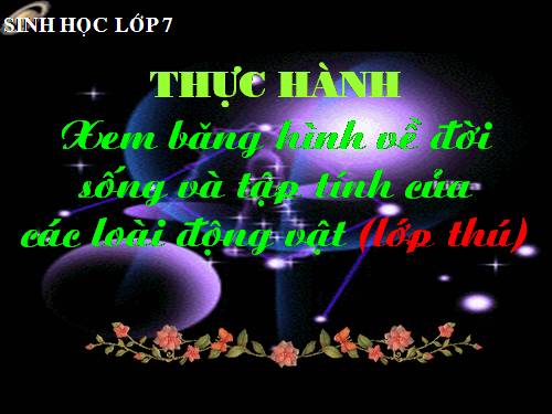 Bài 52. Thực hành: Xem băng hình về đời sống và tập tính của Thú