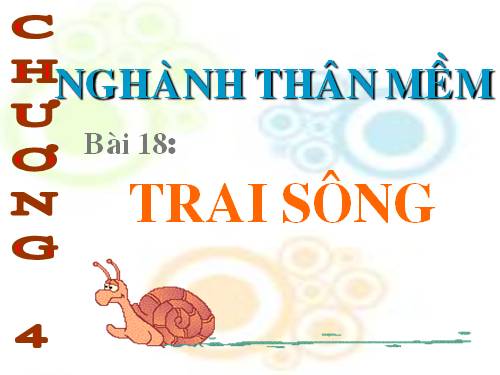 Bài 18. Trai sông