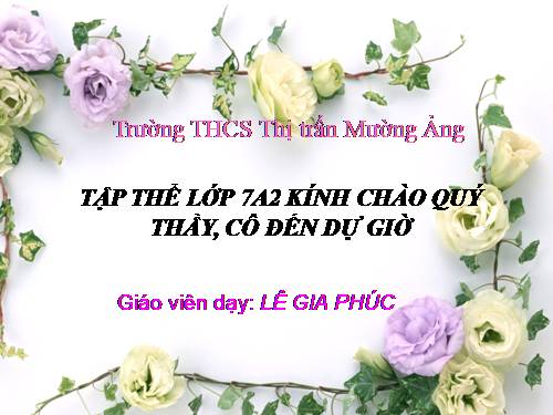 Bài 28. Thực hành: Xem băng hình về tập tính của sâu bọ