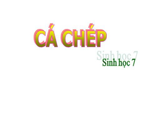 Bài 31. Cá chép