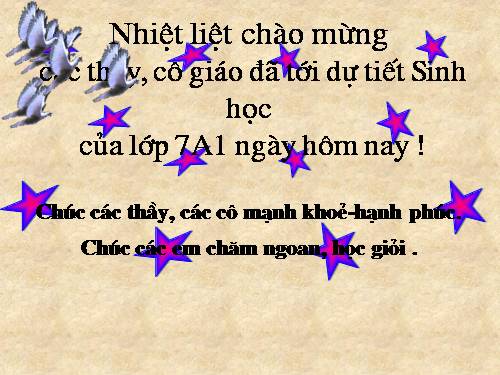 Bài 44. Đa dạng và đặc điểm chung của lớp Chim