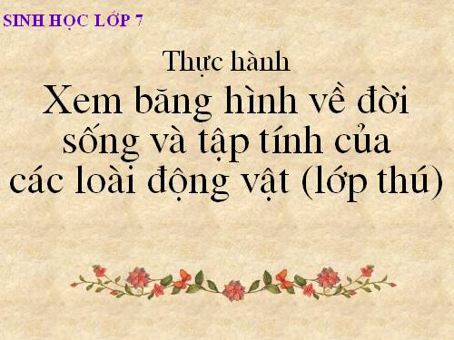 Bài 52. Thực hành: Xem băng hình về đời sống và tập tính của Thú