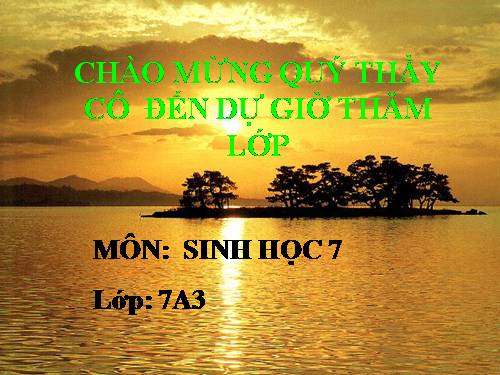 Bài 21. Đặc điểm chung và vai trò của ngành Thân mềm