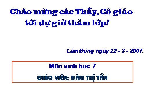 Bài 51. Đa dạng của lớp Thú: Các bộ Móng guốc và bộ Linh trưởng