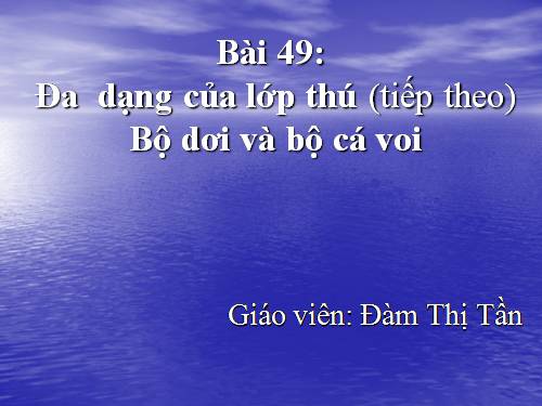 Bài 49. Đa dạng của lớp Thú: Bộ Dơi và bộ Cá voi