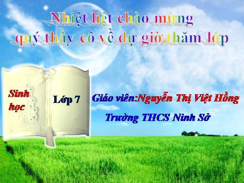 Bài 14. Một số giun tròn khác và đặc điểm chung của ngành Giun tròn