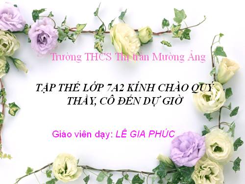 Bài 28. Thực hành: Xem băng hình về tập tính của sâu bọ