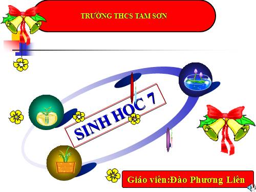 Bài 27. Đa dạng và đặc điểm chung của lớp Sâu bọ