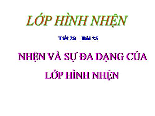 Bài 25. Nhện và sự đa dạng của lớp Hình nhện