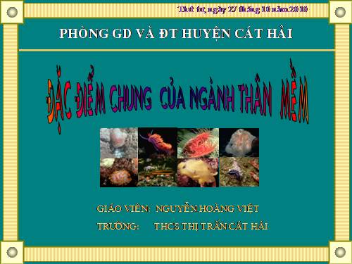 Bài 21. Đặc điểm chung và vai trò của ngành Thân mềm