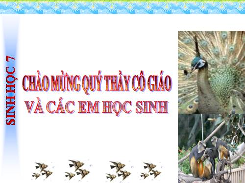 Bài 35. Ếch đồng