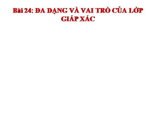 Bài 24. Đa dạng và vai trò của lớp Giáp xác