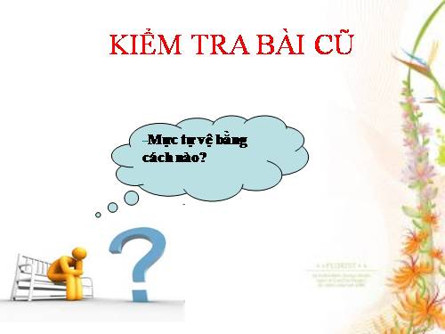 Bài 21. Đặc điểm chung và vai trò của ngành Thân mềm