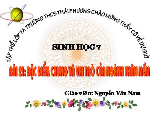 Bài 21. Đặc điểm chung và vai trò của ngành Thân mềm