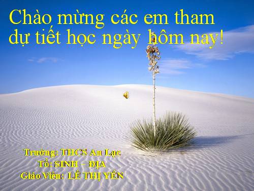 Bài 20. Thực hành: Quan sát một số thân mềm