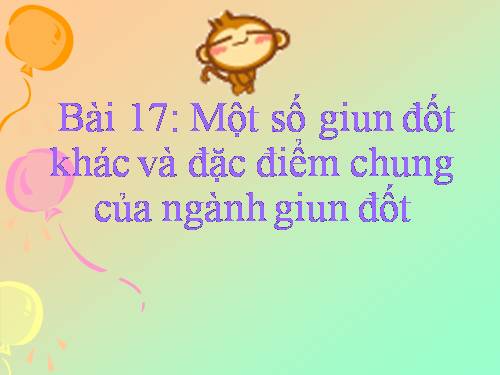 Bài 17. Một số giun đốt khác và đặc điểm chung của ngành Giun đốt