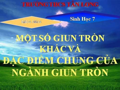 Bài 14. Một số giun tròn khác và đặc điểm chung của ngành Giun tròn