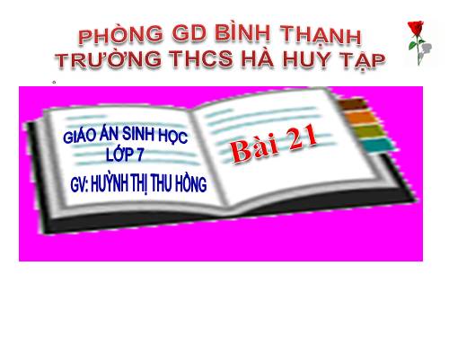 Bài 21. Đặc điểm chung và vai trò của ngành Thân mềm