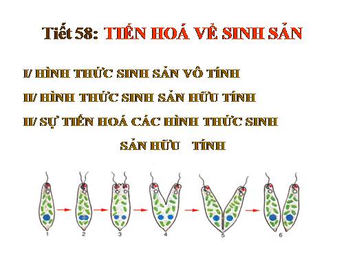 Bài 55. Tiến hoá về sinh sản