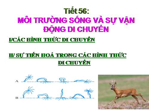 Bài 53. Môi trường sống và sự vận động, di chuyển