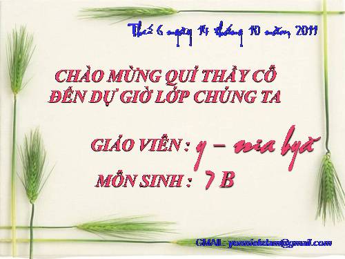 Bài 13. Giun đũa