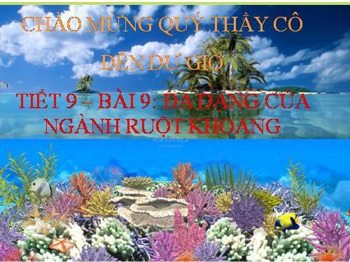 Bài 9. Đa dạng của ngành Ruột khoang