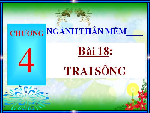 Bài 18. Trai sông