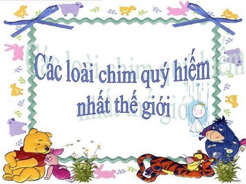 Những loài chim quí hiếm nhất