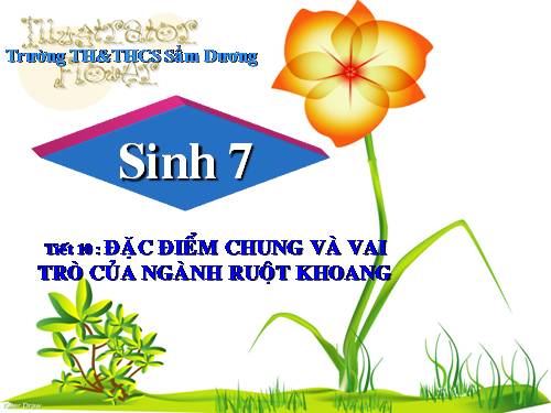 Bài 10. Đặc điểm chung và vai trò của ngành Ruột khoang