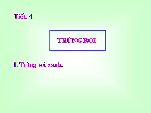 Bài 4. Trùng roi