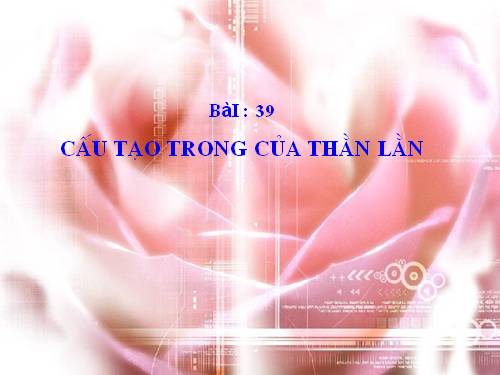 Bài 39. Cấu tạo trong của thằn lằn