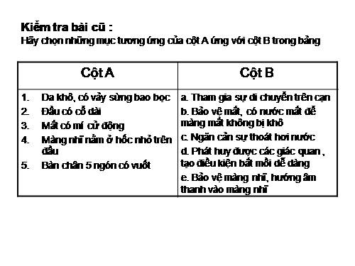 Bài 39. Cấu tạo trong của thằn lằn