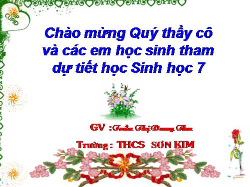 Bài 47. Cấu tạo trong của thỏ