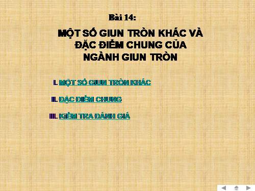 Bài 14. Một số giun tròn khác và đặc điểm chung của ngành Giun tròn