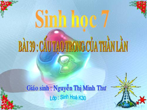 Bài 39. Cấu tạo trong của thằn lằn