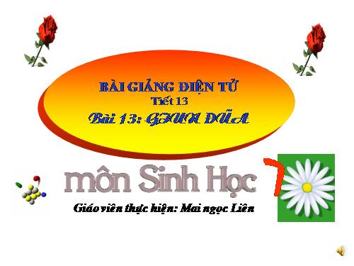 Bài 13. Giun đũa