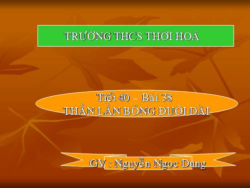 Bài 38. Thằn lằn bóng đuôi dài