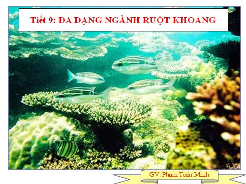 Bài 9. Đa dạng của ngành Ruột khoang